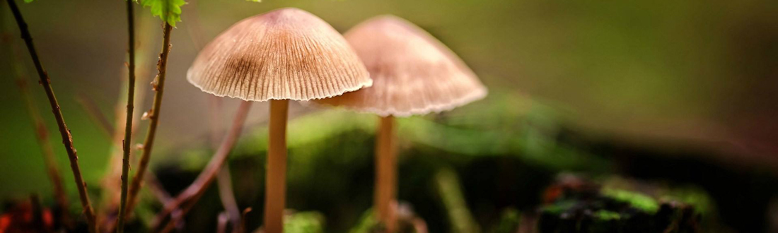 timg-(2).jpg timg-(2).jpg